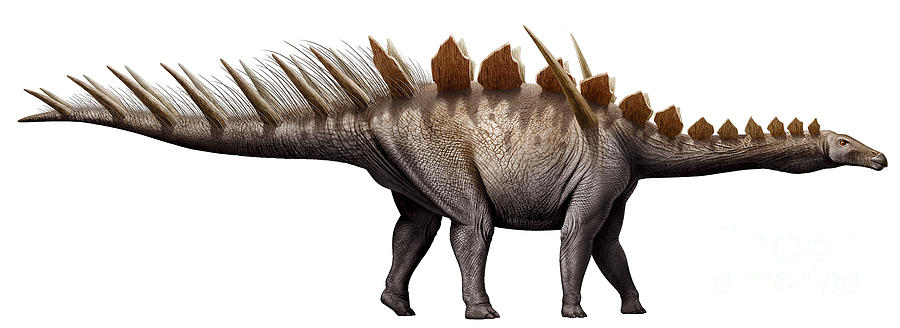 miragaia-longicollum-a-stegosaurid-mohamad-haghani.jpg