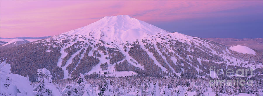 Mount Bachelor Alpenglow Bend Oregon Photograph By Ross Wordhouse