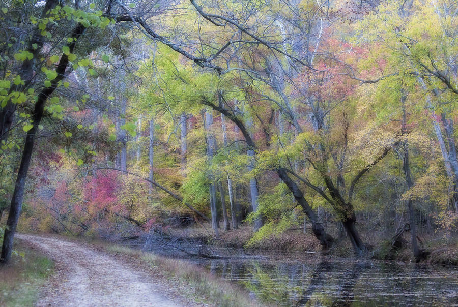 Muted Fall Colors On Maryland Canal Photograph by Francis Sullivan