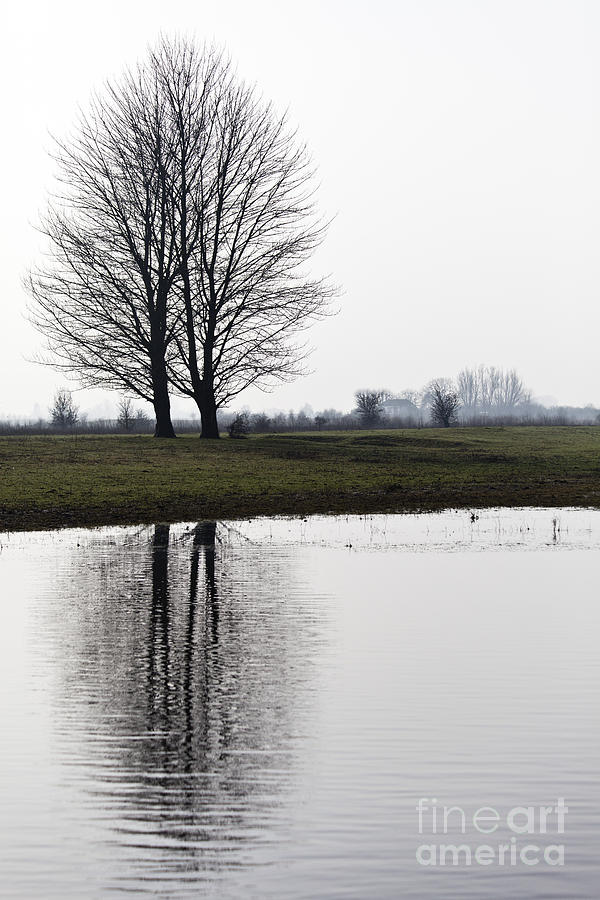  - nature-the-blue-room-gertjan-koster