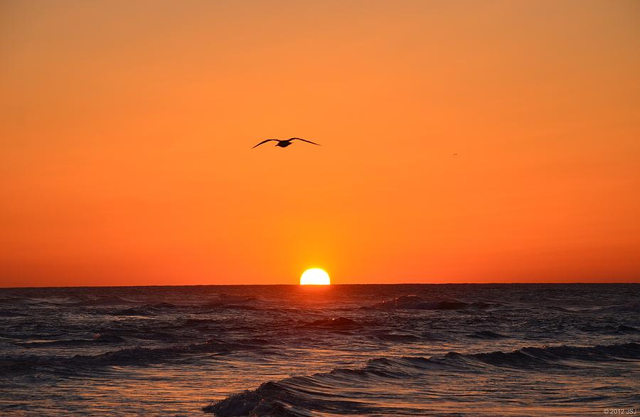navarre-beach-sunrise-waves-and-bird-jeff-at-jsj-photography.jpg