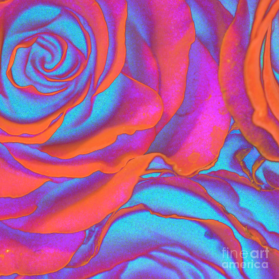 New Photographic Art Print For Sale Pop Art Pink Neon Roses Square ...