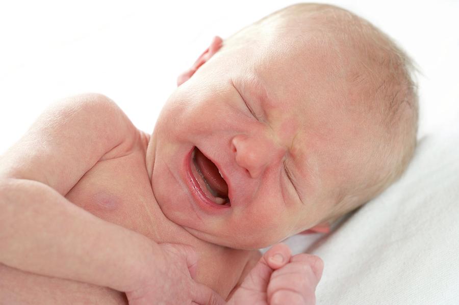 Newborn Baby Boy Crying Photograph By Ruth Jenkinson Science Photo Library