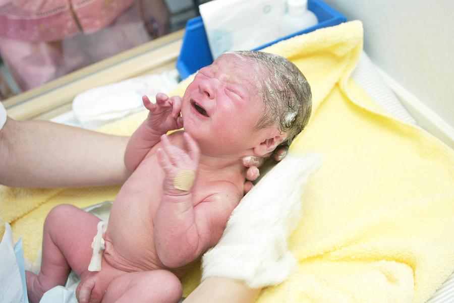 Newborn Baby Photograph By John Thys Reporters Science Photo Library