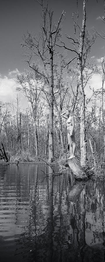 Nude In The Great Swamp 3 Photograph By S J C Fine Art America