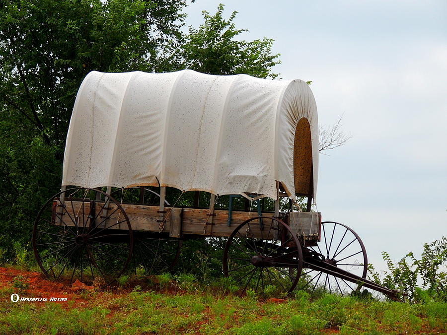 Old Covered Wagons 14