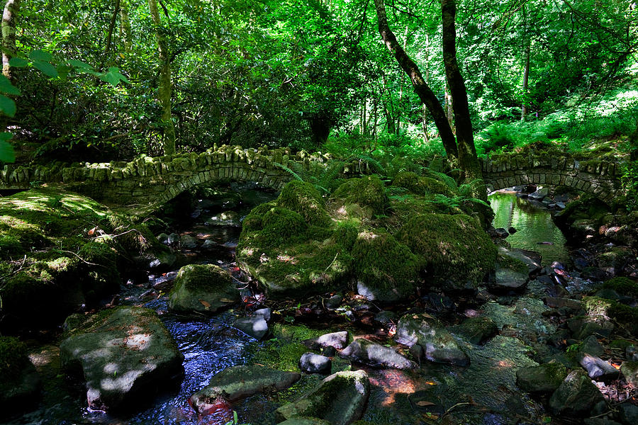 Old Stone Bridges Over The Stream Photograph By Panoramic Images Fine