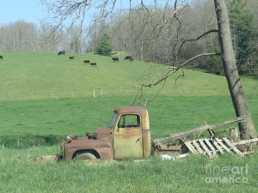 One Mans Junk Is Another Mans Treasure Photograph One Mans Junk Is