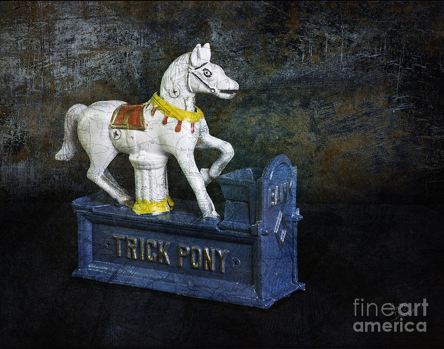 One Trick Pony Photograph By Betty Denise