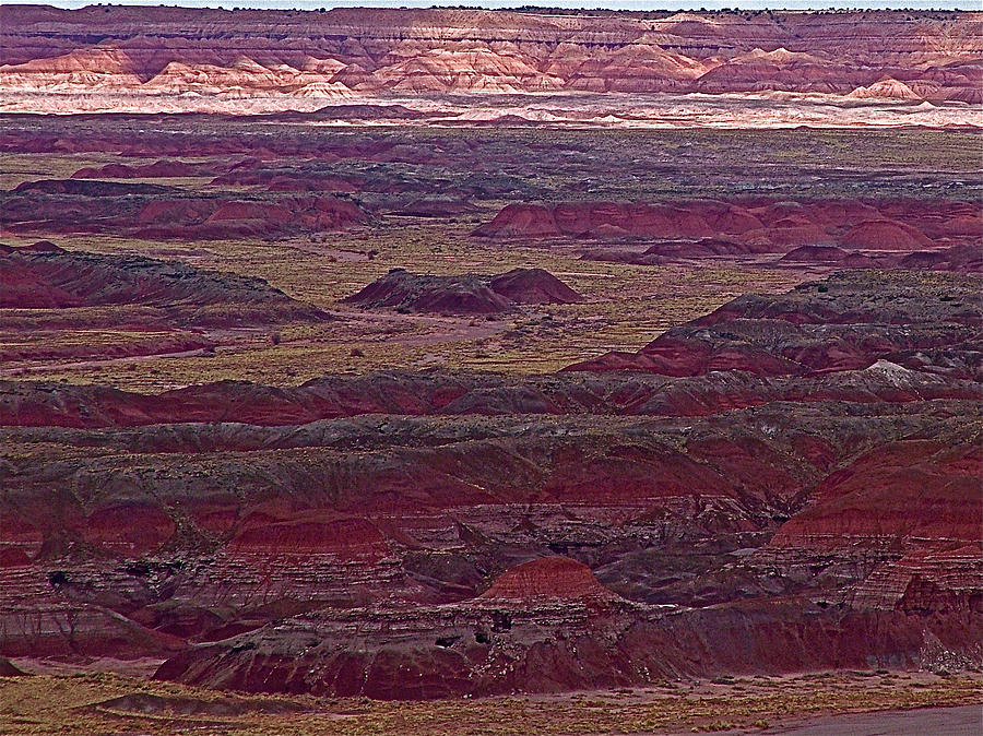 Painted Desert From Pintado Point In Petrified Forest Npaz Photograph