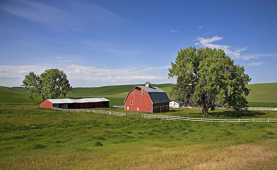 Palouse Farm Photograph by Buddy Mays