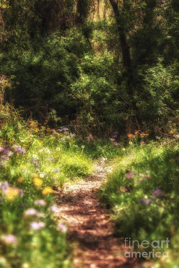  - path-to-enchantment-julie-clements