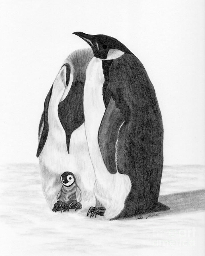 Penguin Family Drawing by Rita Palmer