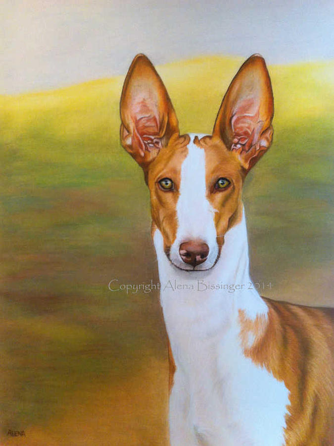 Podenco Pastel By Alena Bissinger Fine Art America