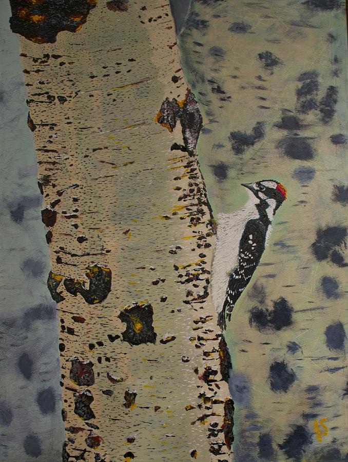  - poplar-and-woodpecker-joyce-sherwin