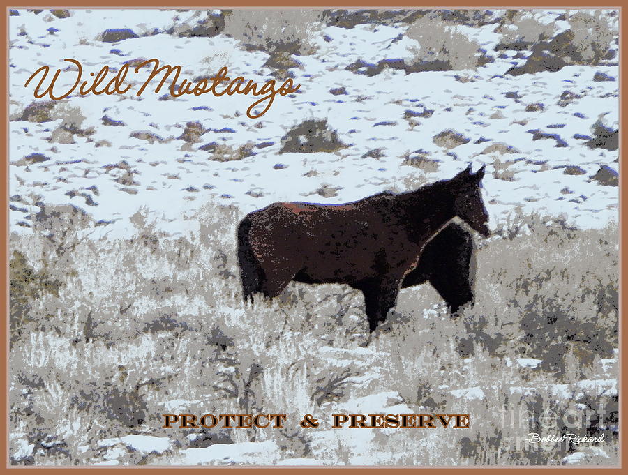 save the american wild mustangs Wild horses: herds and harems wild horses mustangs and the land herds and harems like all wild horses, the pryor mustangs are herd animals living off the land in. save the american wild mustangs Wild horses: herds and harems wild horses mustangs and the land herds and harems like all wild horses, the pryor mustangs are herd animals living off the land in.