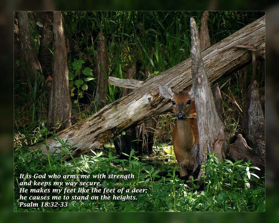 Psalm 18 32 33 Photograph By Dawn Currie