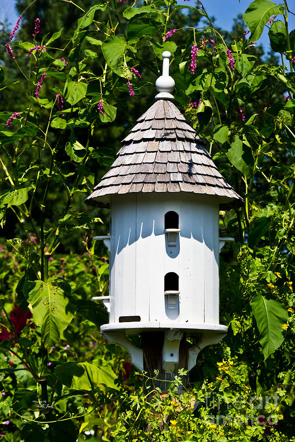 Barn Swallow Bird House Plans furthermore Amish Purple Martin House 