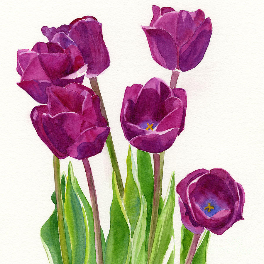 Purple Tulips Square Design Painting by Sharon Freeman