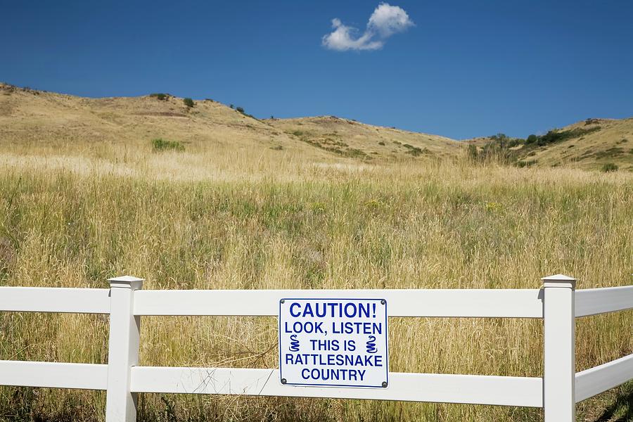 Rattlesnake Warning Sign Photograph By Jim West Fine Art America