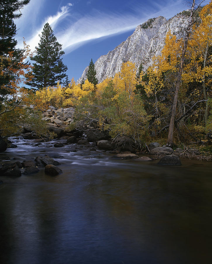 Rock Creek Canyon Gold Photograph By Paul Breitkreuz Fine Art America