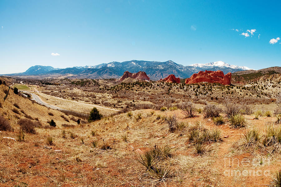 Rocky mountain honda colorado springs #2