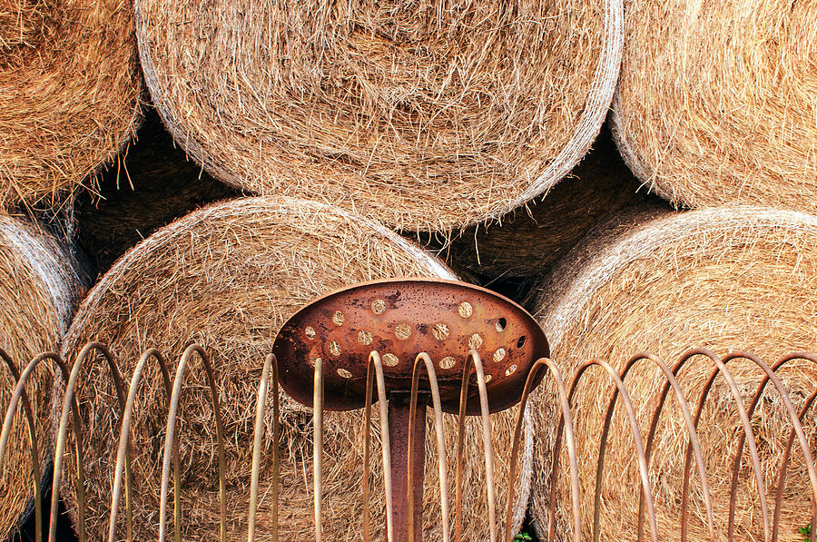 Rolled Hay Photograph By Stephan Herzog 9679