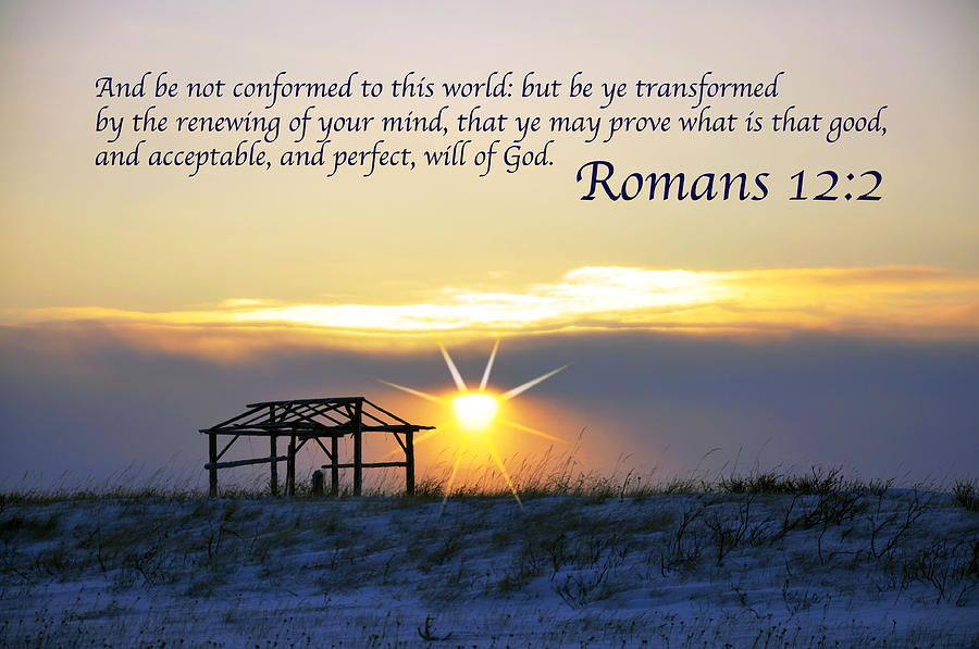 Romans Chapter 12 Verse2 Photograph By Arlene Rhoda Nanouk