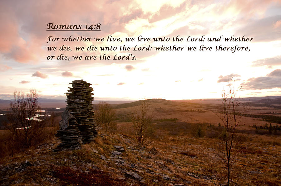 romans chapter 8 verse 14