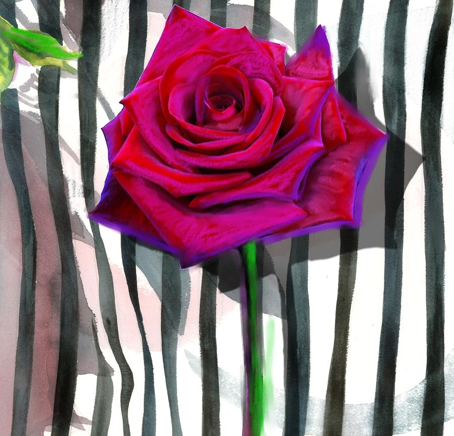 Roses Are Red.. Mixed Media