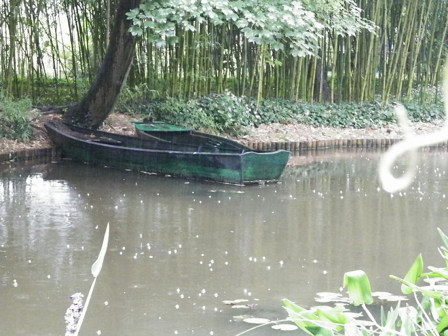 rowboat in the rain rowboat in rain photograph by elaine guillermin rowboat in the rain rowboat in rain photograph by elaine guillermin