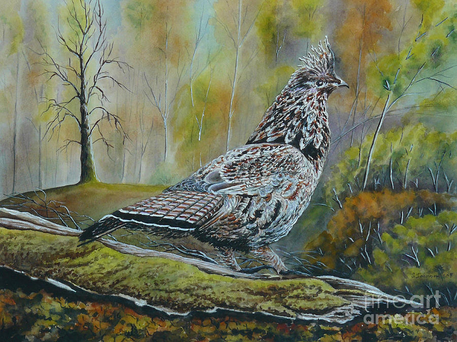  - ruffed-grouse-sheryn-johnson