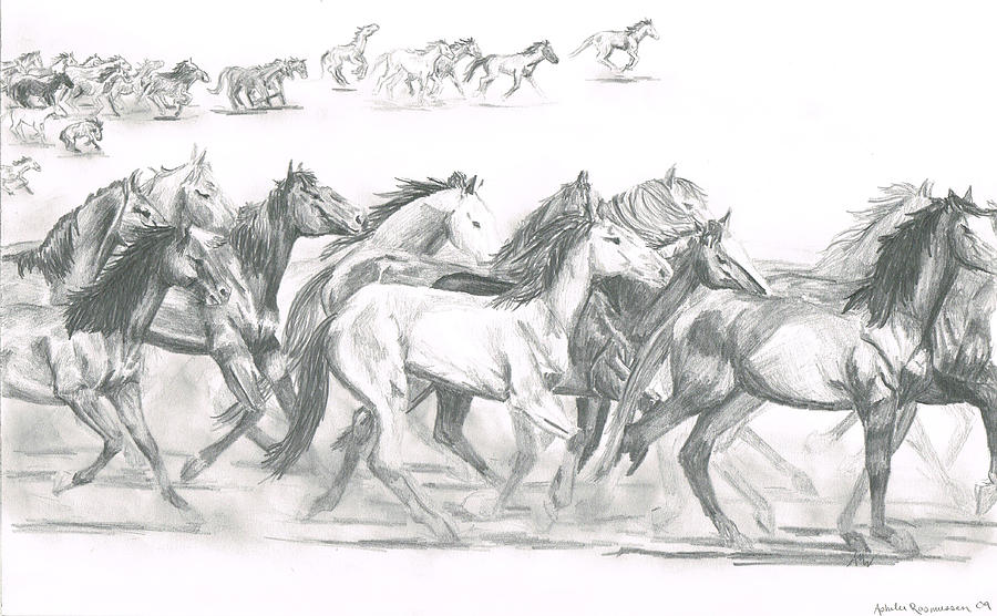 running horse sketch