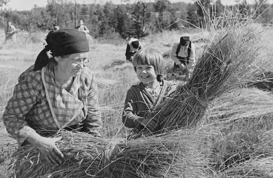 Crops For The Russian Settlements 36