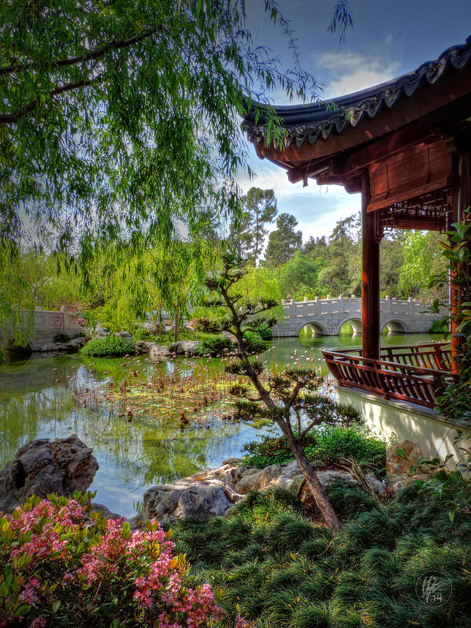 San Marino Huntington Botanical Gardens 006 Photograph