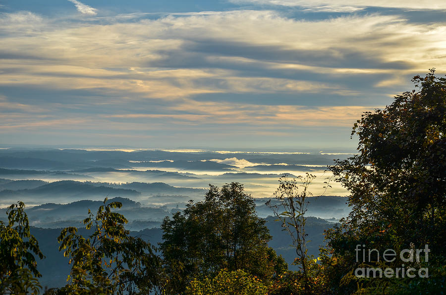  - sea-of-fog-brenda-bostic