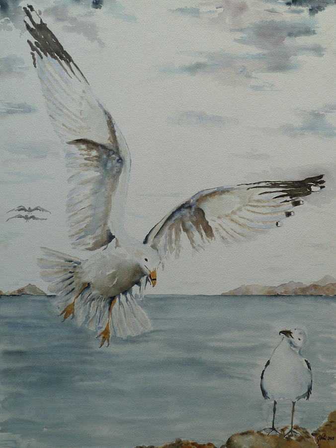 Seagull Landing Painting By J A Rix