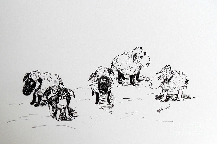 Sheep Herd by Vicki Housel
