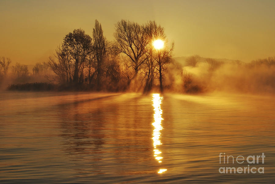 Shining Morning Sun Photograph by Mirari Photography