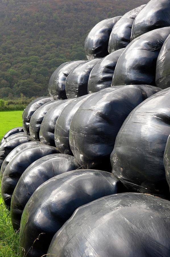 Silage Bales Photograph By Dr Jeremy Burgess Science Photo Library Pixels