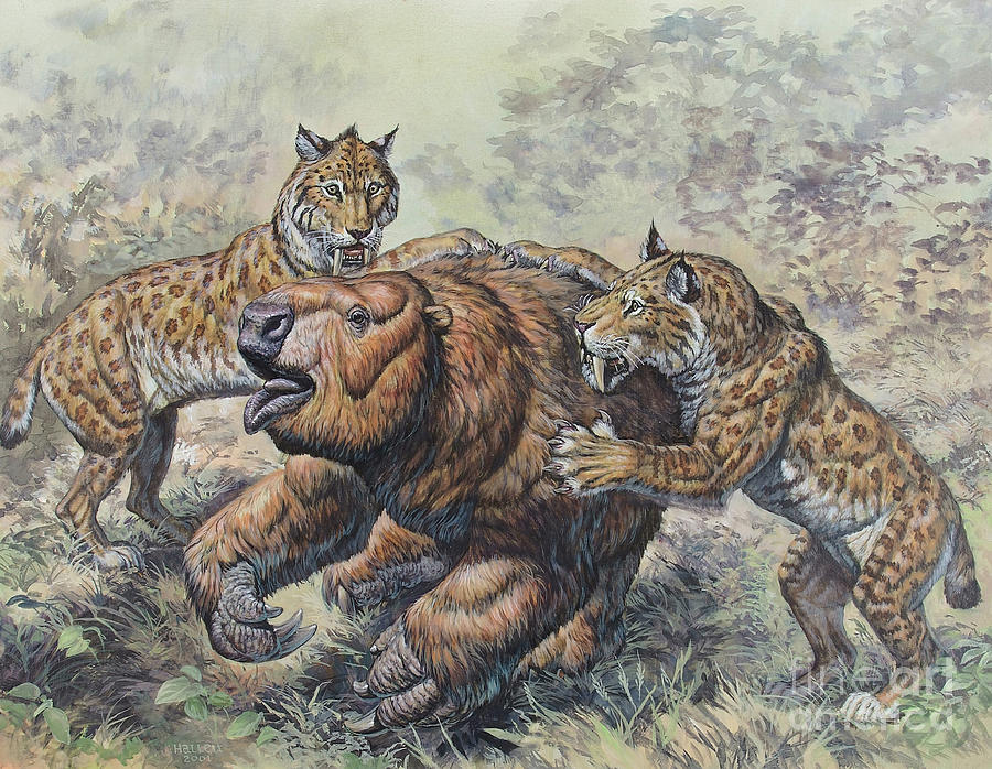 Smilodon Dirk Toothed Cats Attacking Digital Art By Mark Hallett