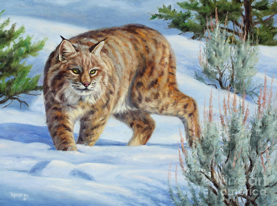 Sneak Attack Bobcat Painting By Cliff Rossberg