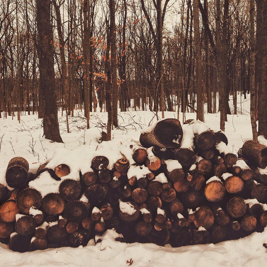  - snow-covered-wood-nikki-mcinnes