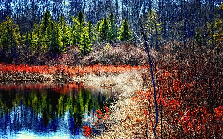 Spring In New England Photograph By Tricia Marchlik Fine Art America