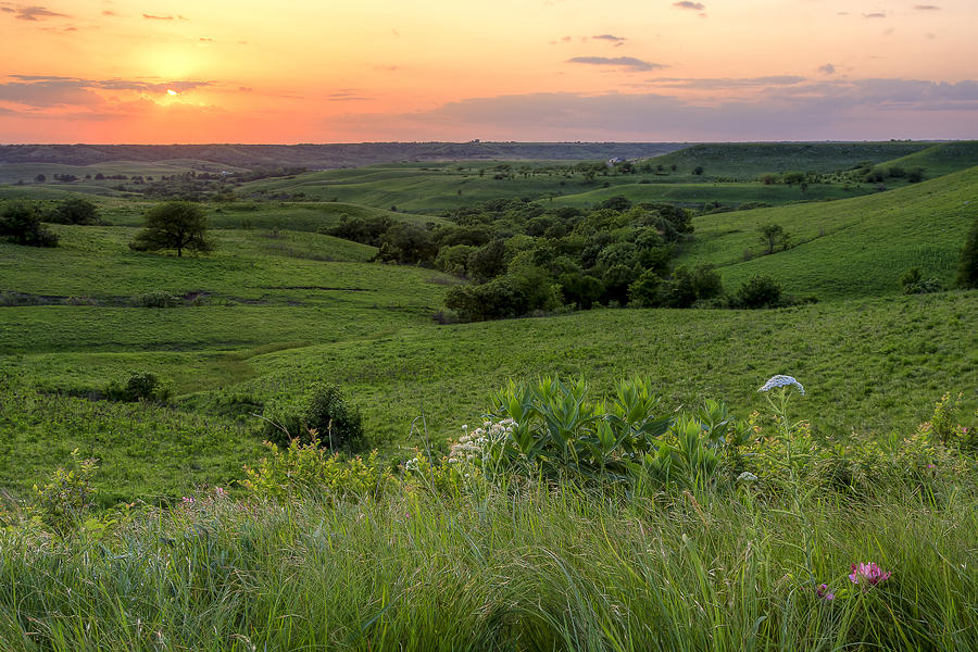 Spring In The Flint Hills Photograph By Scott Bean