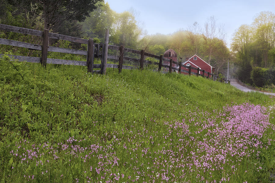 Spring On The Farm by Bill Wakeley