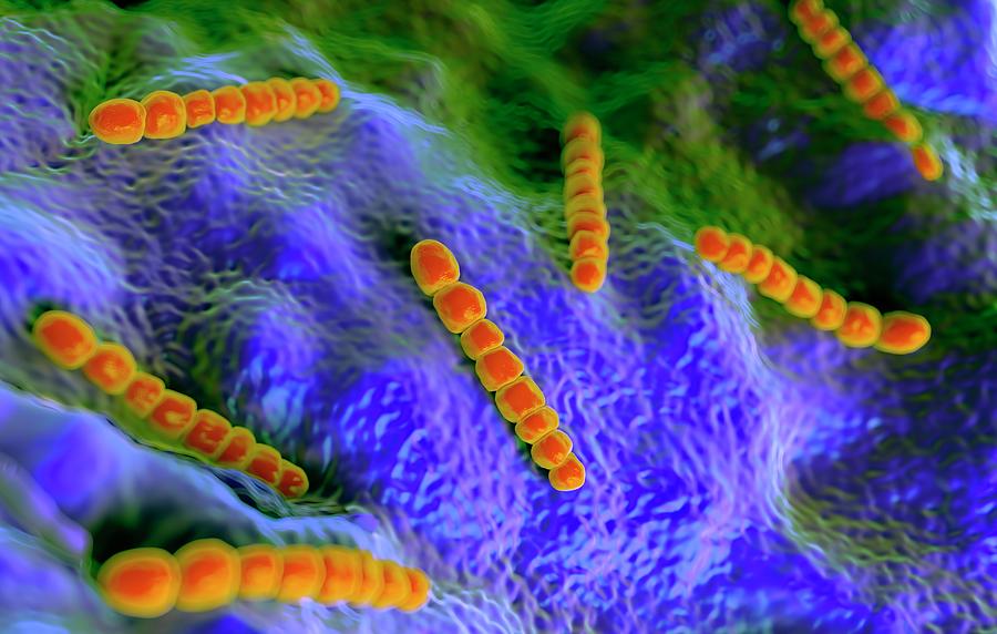 Streptococcus Pneumoniae Bacteria Photograph By Science Artwork Fine