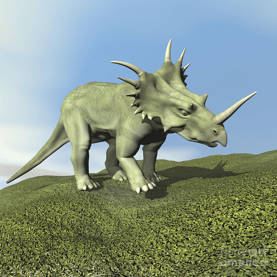 Styracosaurus Dinosaur Digital Art By Elena Duvernay