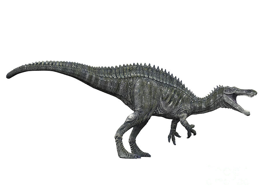 dinosaur with white head