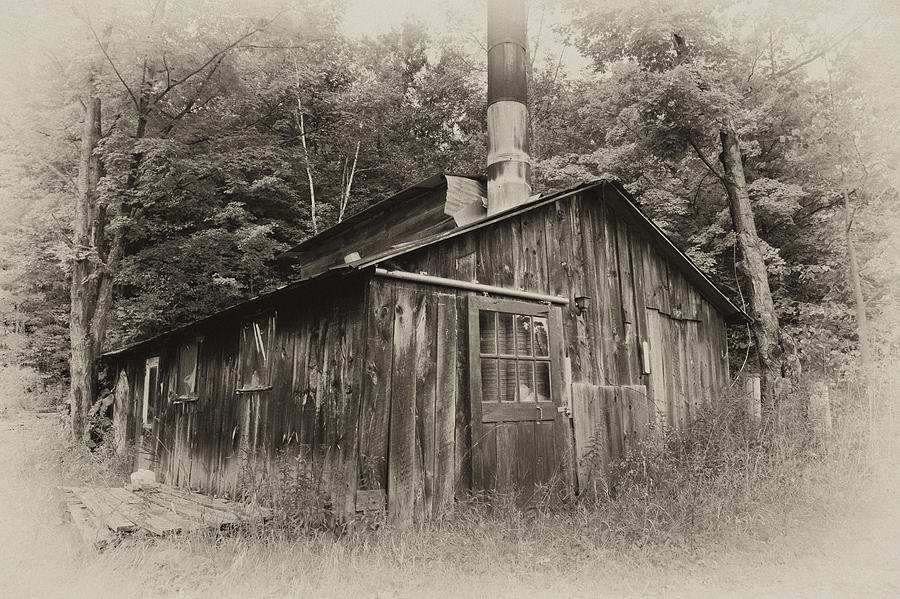 Sugar Shack Photograph By Rebecca Skinner